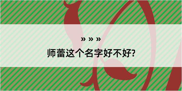 师蕾这个名字好不好?