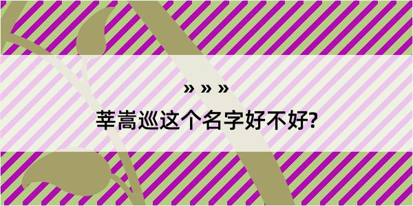 莘嵩巡这个名字好不好?