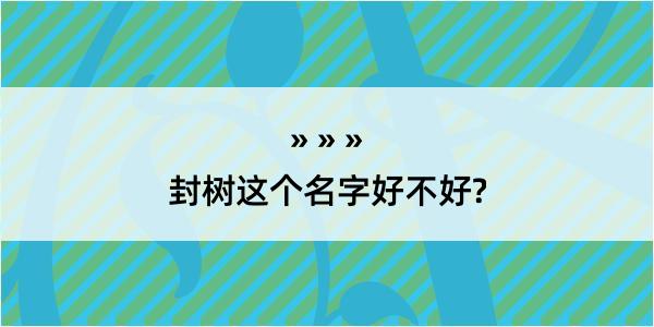 封树这个名字好不好?