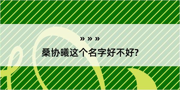 桑协曦这个名字好不好?