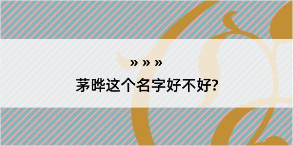 茅晔这个名字好不好?