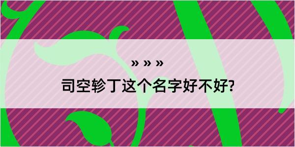 司空轸丁这个名字好不好?