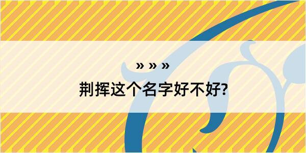 荆挥这个名字好不好?