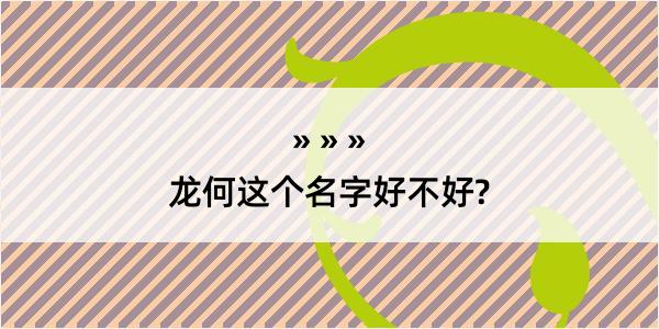 龙何这个名字好不好?