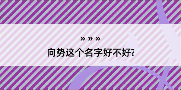 向势这个名字好不好?