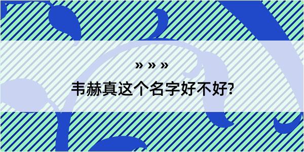 韦赫真这个名字好不好?