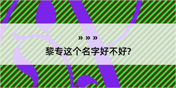 黎专这个名字好不好?