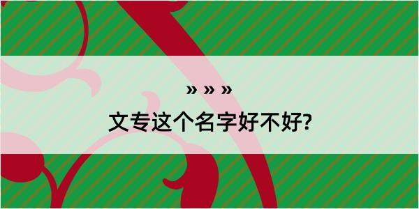 文专这个名字好不好?