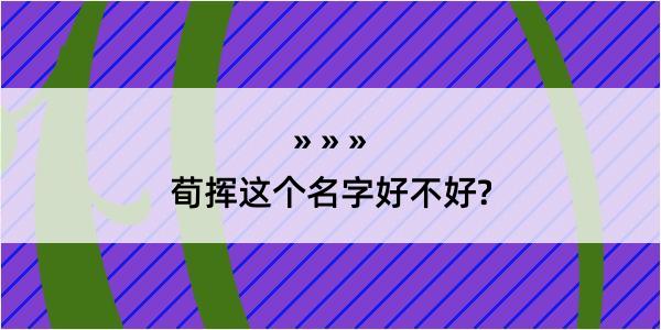 荀挥这个名字好不好?