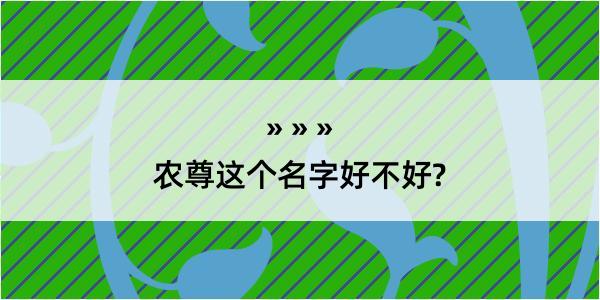 农尊这个名字好不好?