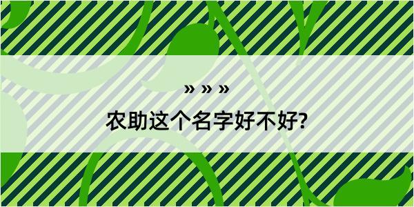 农助这个名字好不好?