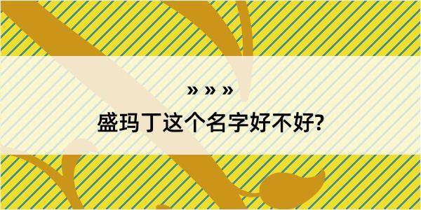 盛玛丁这个名字好不好?