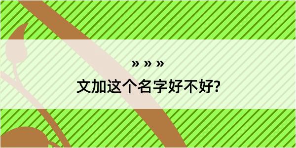 文加这个名字好不好?