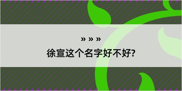 徐宣这个名字好不好?