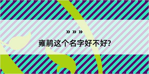 雍鹃这个名字好不好?