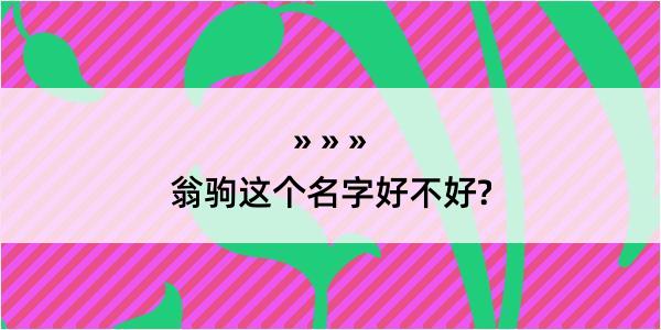 翁驹这个名字好不好?