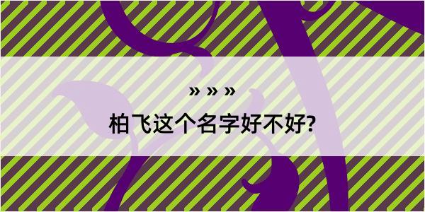 柏飞这个名字好不好?