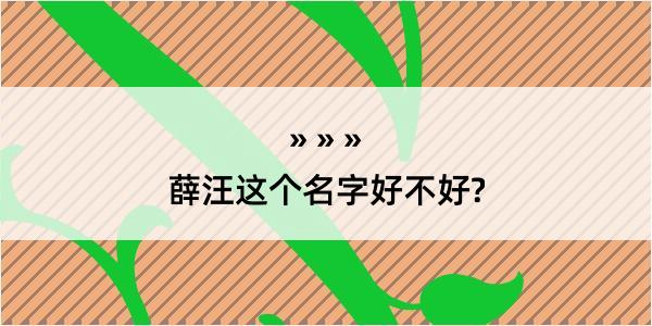 薛汪这个名字好不好?