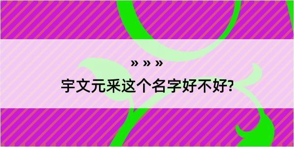 宇文元釆这个名字好不好?