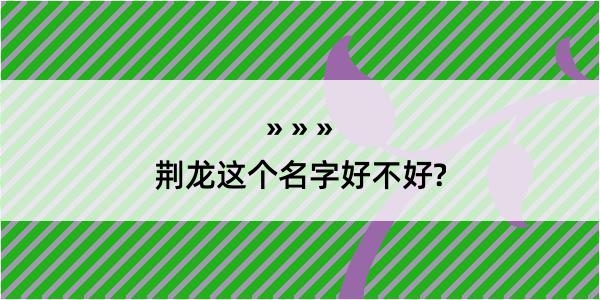 荆龙这个名字好不好?