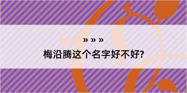 梅沿腾这个名字好不好?