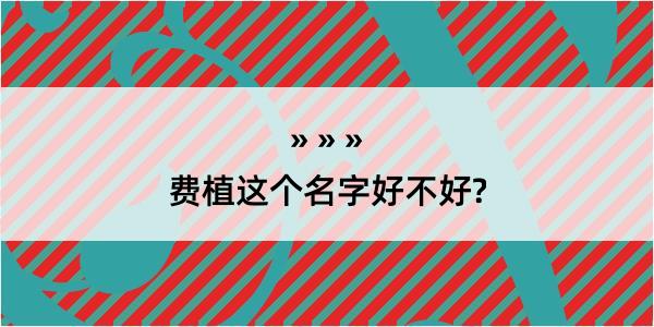 费植这个名字好不好?