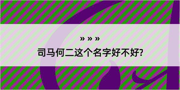 司马何二这个名字好不好?