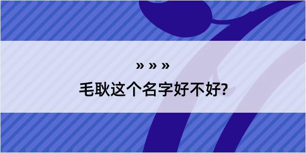 毛耿这个名字好不好?