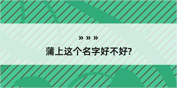 蒲上这个名字好不好?