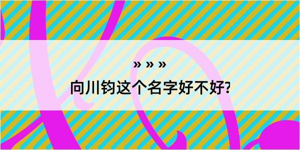 向川钧这个名字好不好?