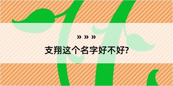 支翔这个名字好不好?