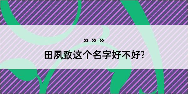 田夙致这个名字好不好?