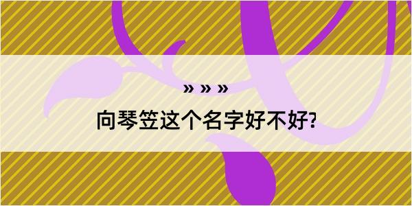 向琴笠这个名字好不好?