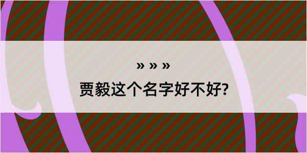 贾毅这个名字好不好?