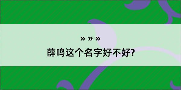 薛鸣这个名字好不好?