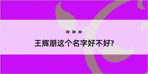 王辉朋这个名字好不好?