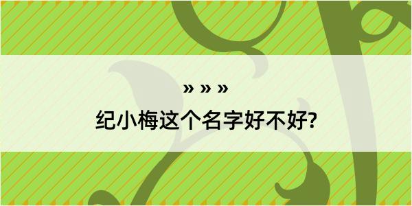 纪小梅这个名字好不好?