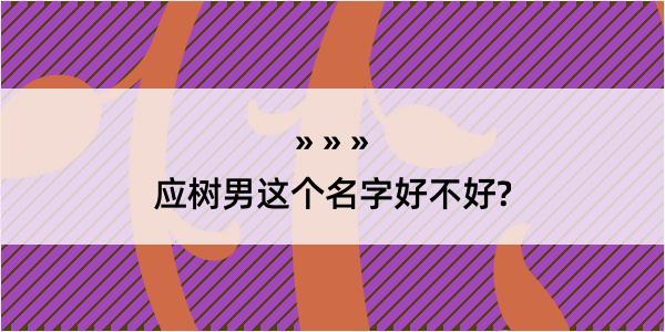 应树男这个名字好不好?