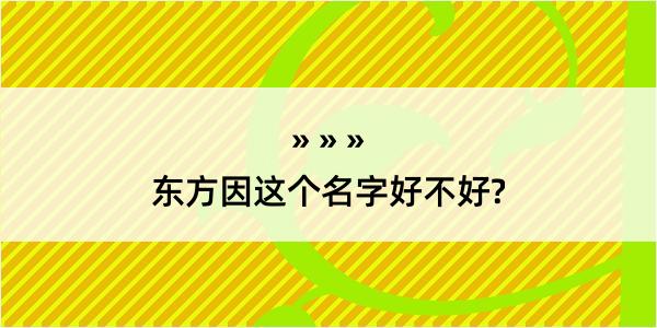 东方因这个名字好不好?