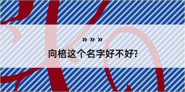 向棓这个名字好不好?