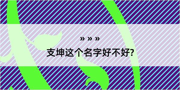 支坤这个名字好不好?