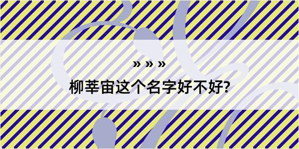 柳莘宙这个名字好不好?