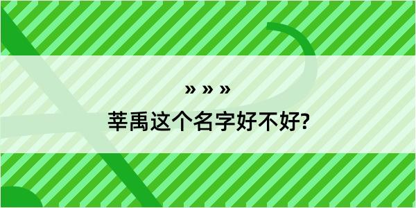 莘禹这个名字好不好?