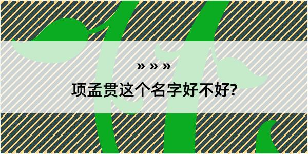 项孟贯这个名字好不好?