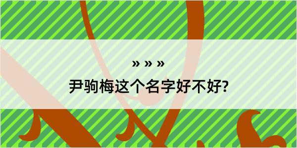 尹驹梅这个名字好不好?