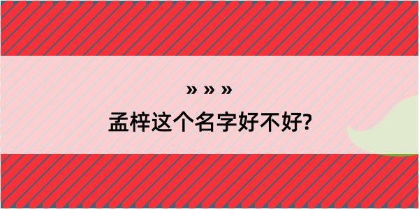 孟梓这个名字好不好?