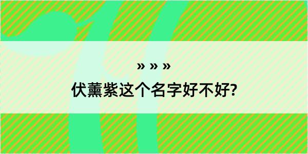 伏薰紫这个名字好不好?