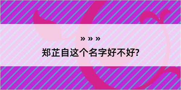 郑芷自这个名字好不好?