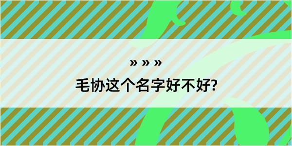 毛协这个名字好不好?