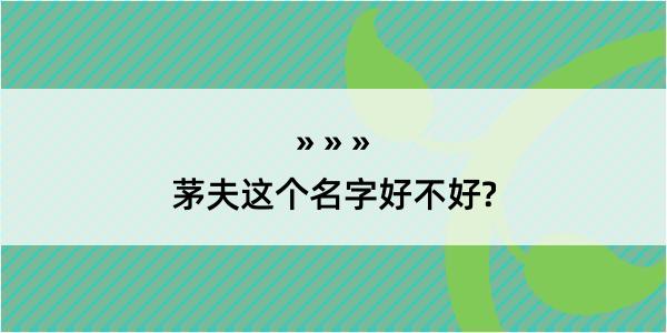 茅夫这个名字好不好?